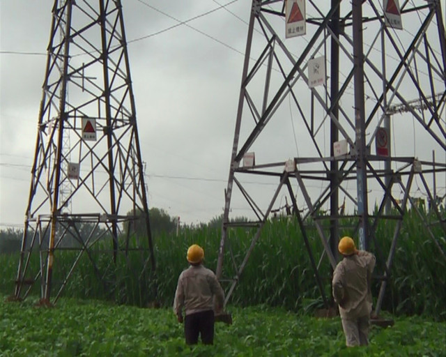 0803_1.jpg 0803_1.jpg